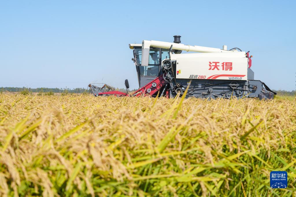 马可波罗会员申请